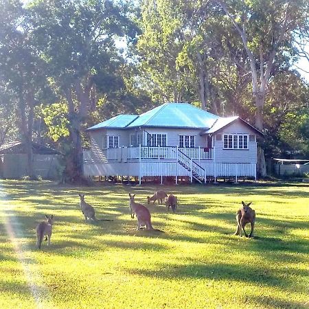 Lake Weyba Noosa Lodge & Kangaroos Peregian Beach Zewnętrze zdjęcie