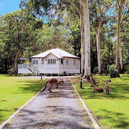Lake Weyba Noosa Lodge & Kangaroos Peregian Beach Zewnętrze zdjęcie
