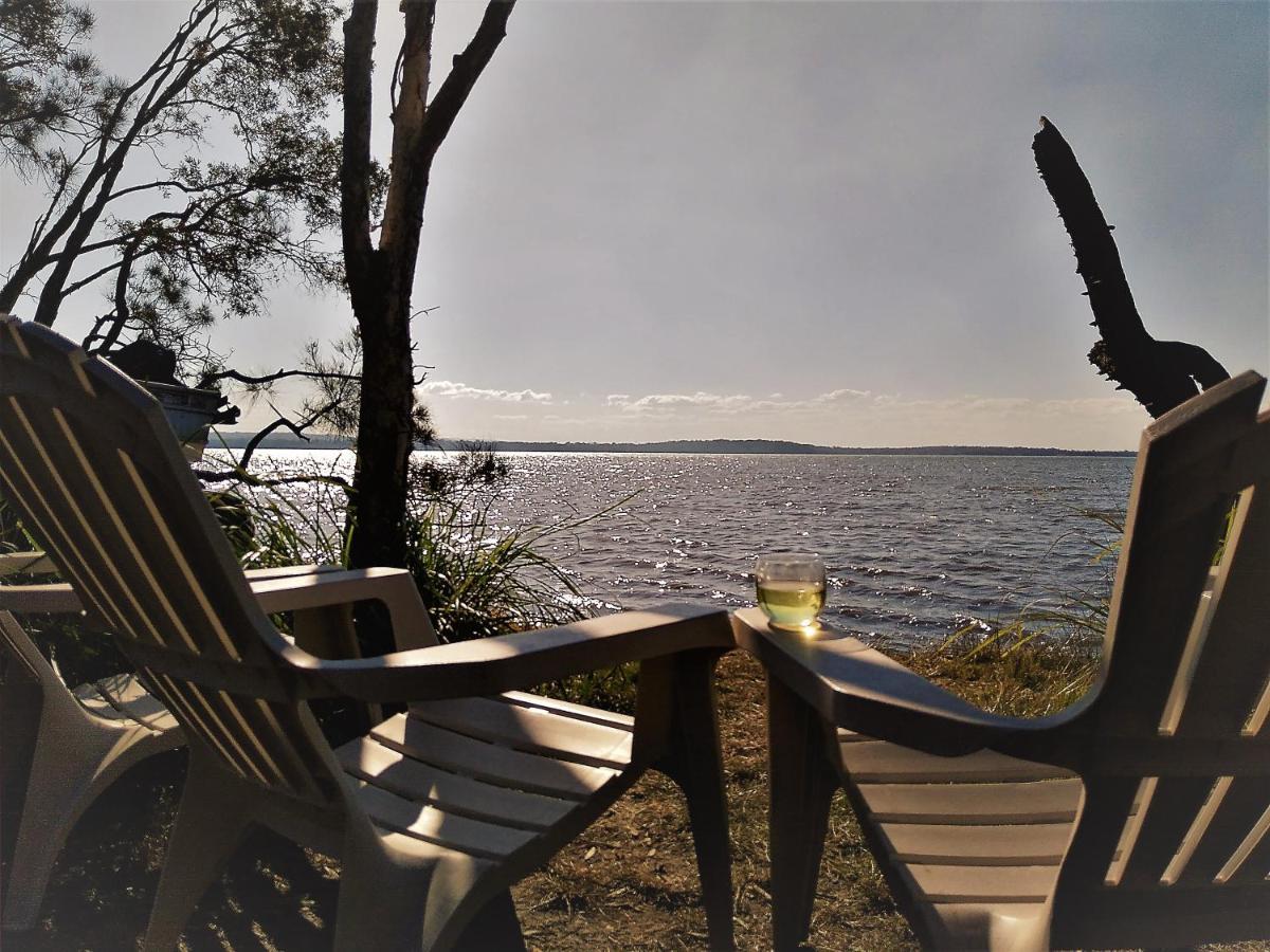 Lake Weyba Noosa Lodge & Kangaroos Peregian Beach Zewnętrze zdjęcie
