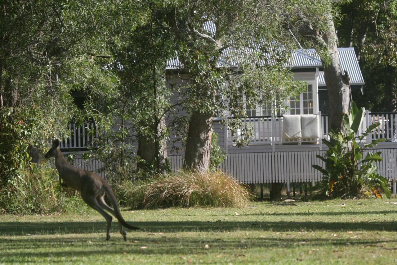 Lake Weyba Noosa Lodge & Kangaroos Peregian Beach Zewnętrze zdjęcie