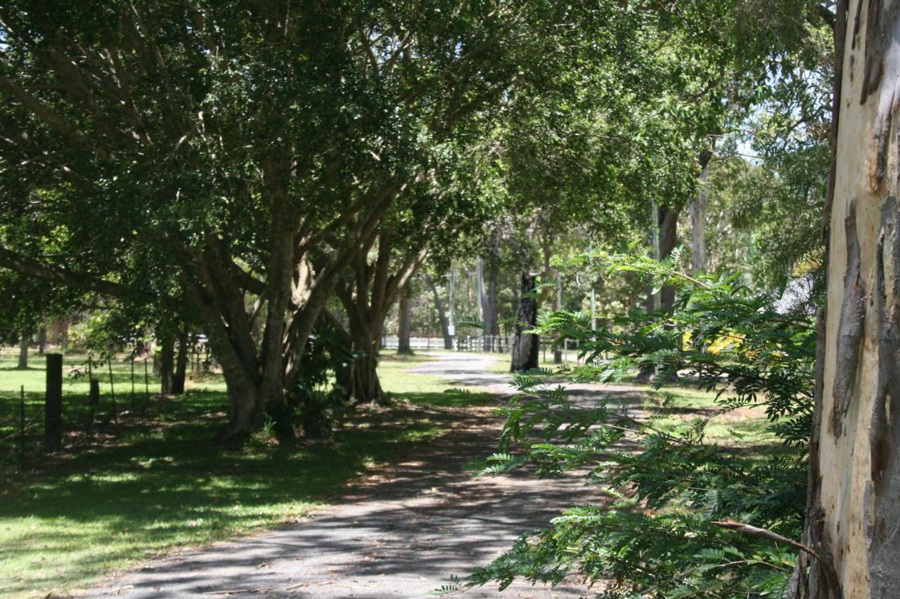 Lake Weyba Noosa Lodge & Kangaroos Peregian Beach Zewnętrze zdjęcie
