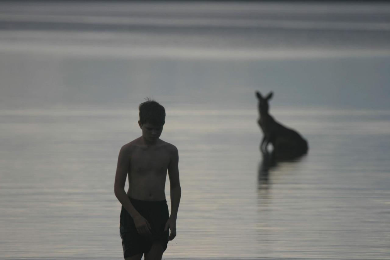 Lake Weyba Noosa Lodge & Kangaroos Peregian Beach Zewnętrze zdjęcie