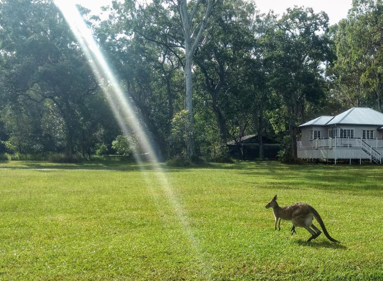 Lake Weyba Noosa Lodge & Kangaroos Peregian Beach Zewnętrze zdjęcie