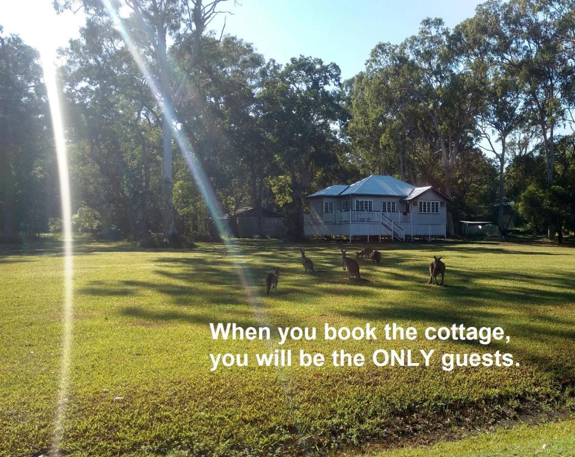 Lake Weyba Noosa Lodge & Kangaroos Peregian Beach Zewnętrze zdjęcie