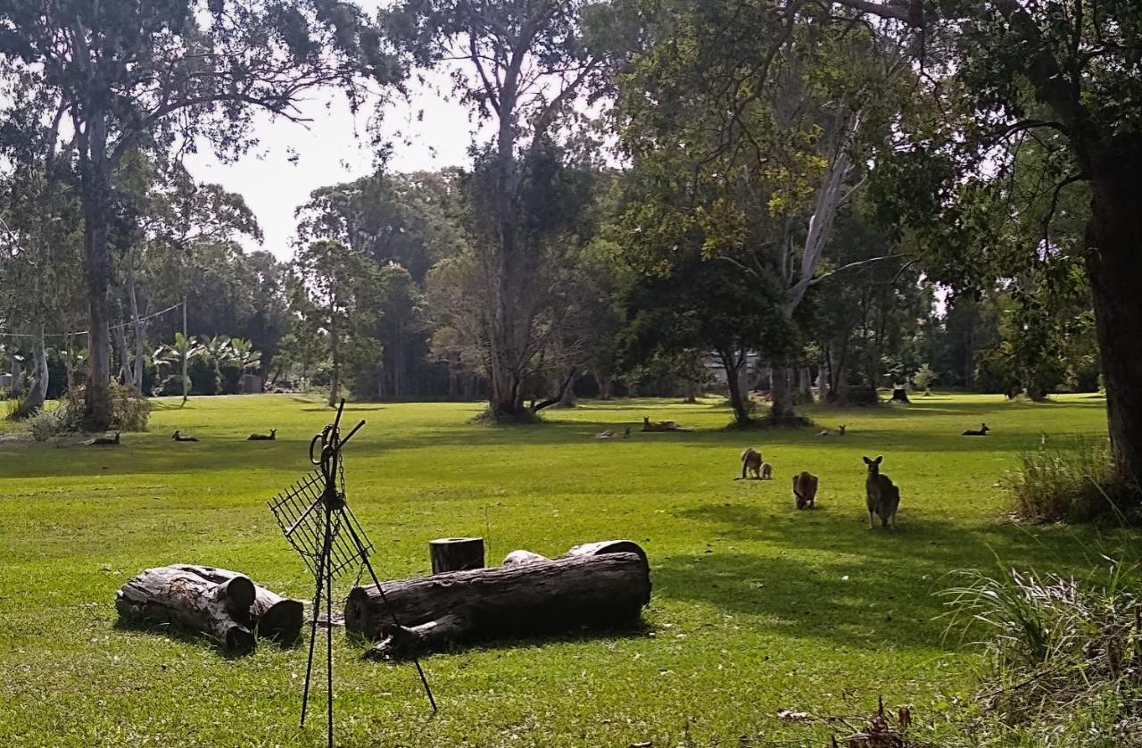 Lake Weyba Noosa Lodge & Kangaroos Peregian Beach Zewnętrze zdjęcie
