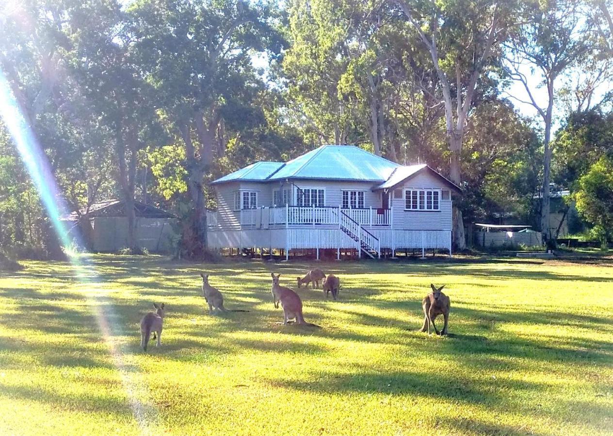 Lake Weyba Noosa Lodge & Kangaroos Peregian Beach Zewnętrze zdjęcie
