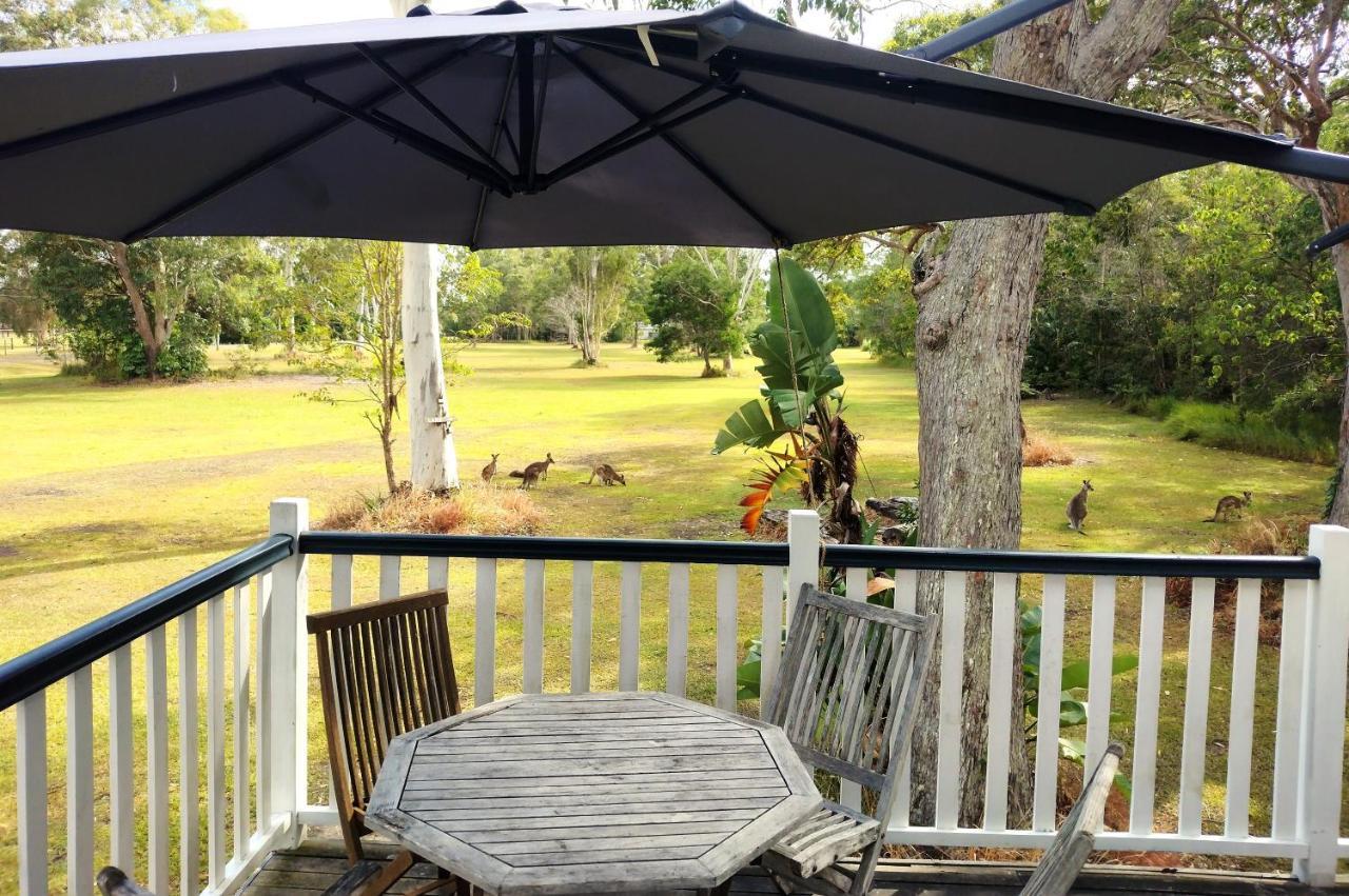 Lake Weyba Noosa Lodge & Kangaroos Peregian Beach Zewnętrze zdjęcie