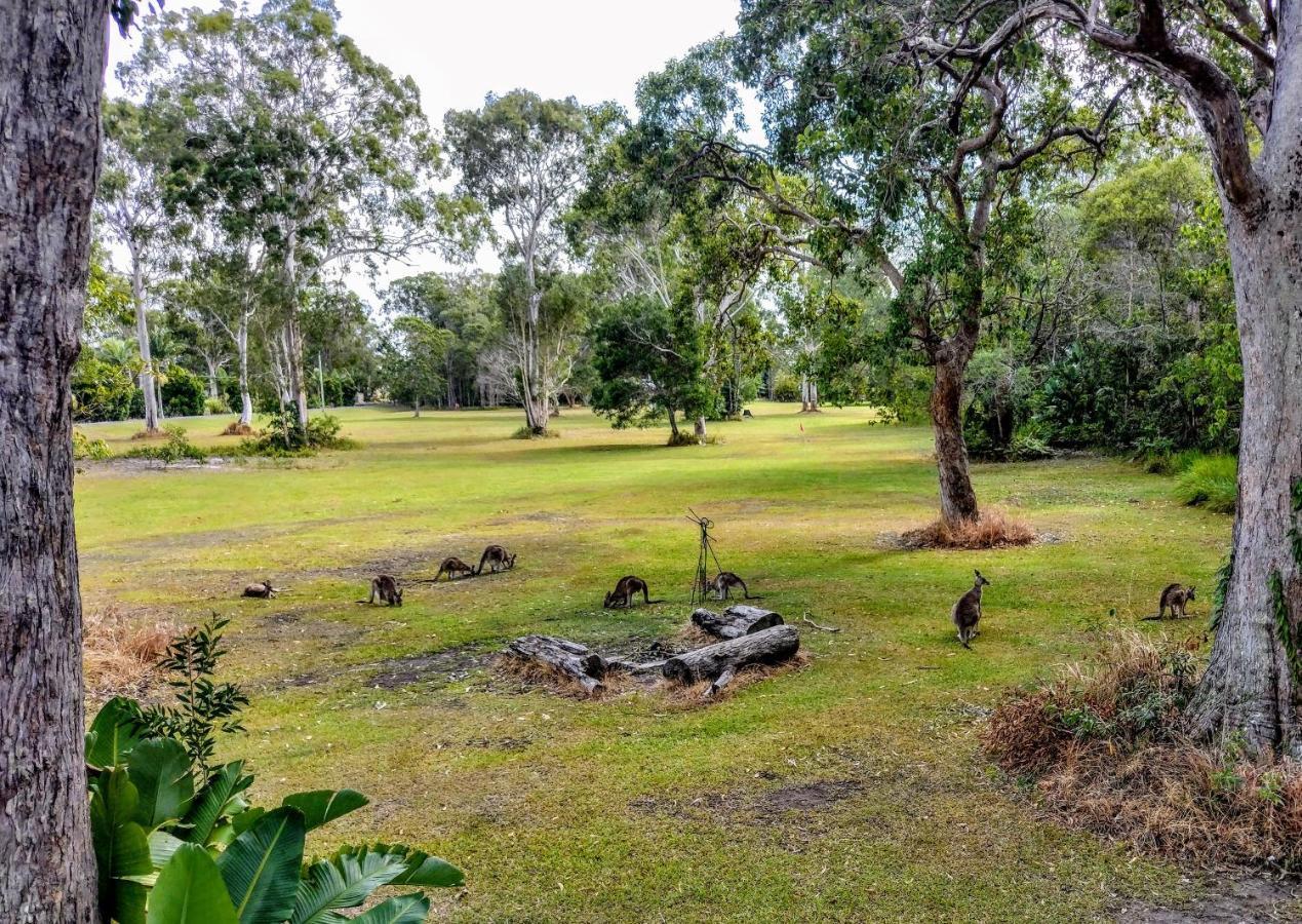 Lake Weyba Noosa Lodge & Kangaroos Peregian Beach Zewnętrze zdjęcie