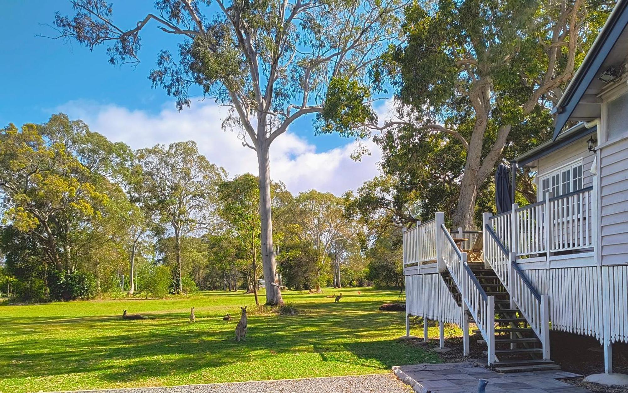 Lake Weyba Noosa Lodge & Kangaroos Peregian Beach Zewnętrze zdjęcie