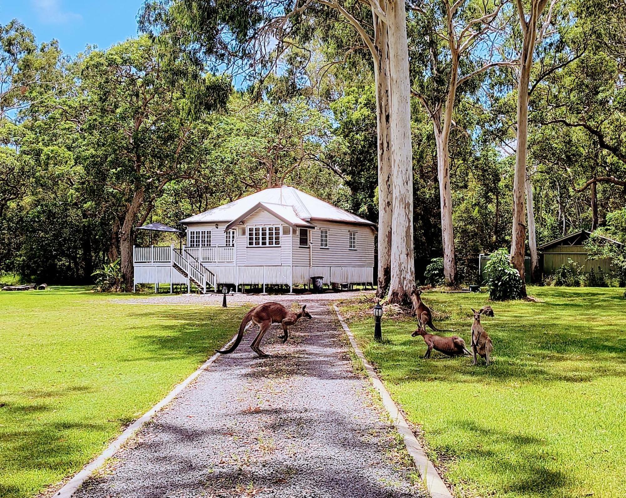 Lake Weyba Noosa Lodge & Kangaroos Peregian Beach Zewnętrze zdjęcie